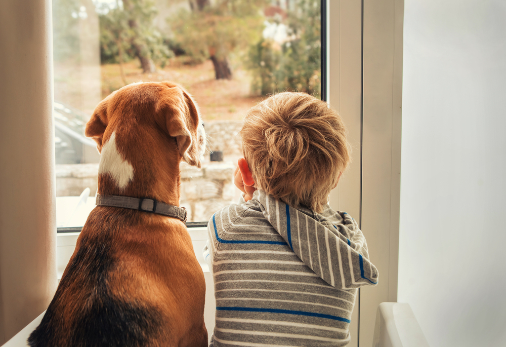 Kids And Pets: 5 Tips For Bite Prevention - Veterinary Specialty ...